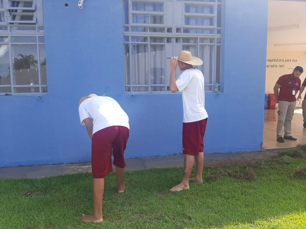 PROJETO JARDINAGEM II