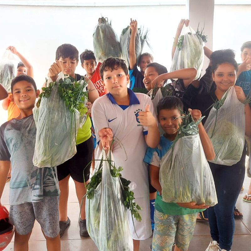 PROGRAMA CAMINHAR – BATALHÃO VERDE: ENTREGA DE +30 KITS DE HORTALIÇAS E LEGUMES PELOS SOCIOEDUCANDOS DO CASER